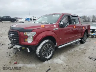 2016 Ford F-150 XLT with VIN 1FTEW1EP9GFD04743, listed as a Copart auction lot 49838685 with 0 mi miles and Clean Title. Bid and sale history available at carsss.com. Image 1.