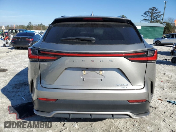 2023 Lexus NX with VIN 2T2KGCEZ4PC016260, listed as a Copart auction lot 85488734 with 33,244 mi miles and Salvage Title. Bid and sale history available at carsss.com. Image 6.