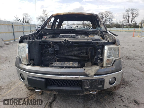 2011 Ford F-150 XLT with VIN 1FTFW1ETXBFC86814, listed as a Copart auction lot 50902165 with Not Provided miles and Salvage Title. Bid and sale history available at carsss.com. Image 5.