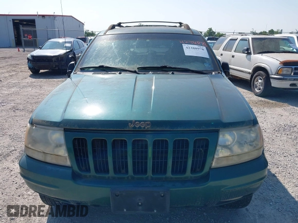 1999 Jeep Grand Cherokee Limited z VIN 1J4GW68N5XC630910, wystawiony jako IAAI lot #42380978 z przebiegiem 188 300 mil mil oraz . Historia ofert i sprzedaży dostępna na DreamBid. Obrazek 6.