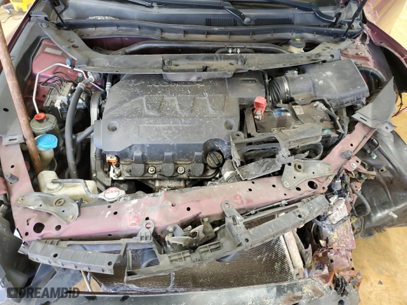 2010 Honda Accord Crosstour EX-L with VIN 5J6TF1H51AL014601, listed as a Copart auction lot 46288795 with 0 mi miles and Salvage Title. Bid and sale history available at carsss.com. Image 11.