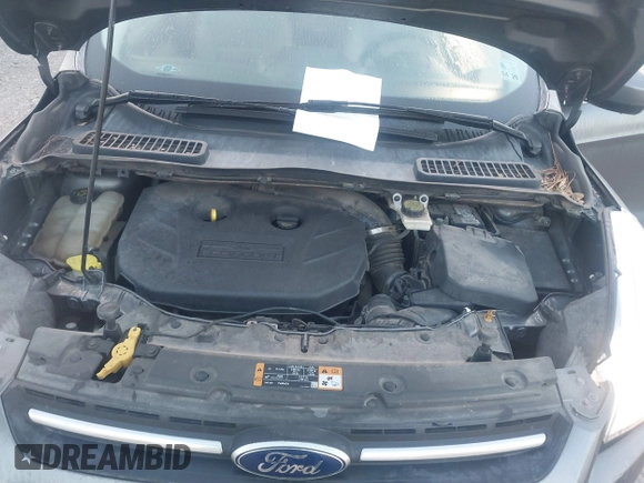2014 Ford Escape SE with VIN 1FMCU0G91EUB05180, listed as a IAAI auction lot 41758185 with 186,042 mi miles. Bid and sale history available at carsss.com. Image 10.