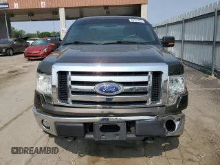 2009 Ford F-150 STX with VIN 1FTRX14849FA73732, listed as a Copart auction lot 59317545 with 162,744 mi miles and Salvage title. Bid and sale history available at DreamBid. Image 5.