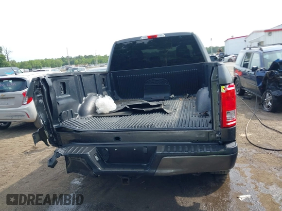 2017 Ford F-150 XL with VIN 1FTEX1EP8HKC51023, listed as a IAAI auction lot 39945482 with 105,260 mi miles. Bid and sale history available at carsss.com. Image 17.