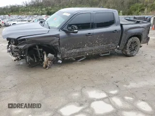 2023 Toyota Tundra SR5 with VIN 5TFLA5DB7PX064282, listed as a Copart auction lot 51097575 with Not provided miles and Salvage title. Bid and sale history available at DreamBid. Image 1.