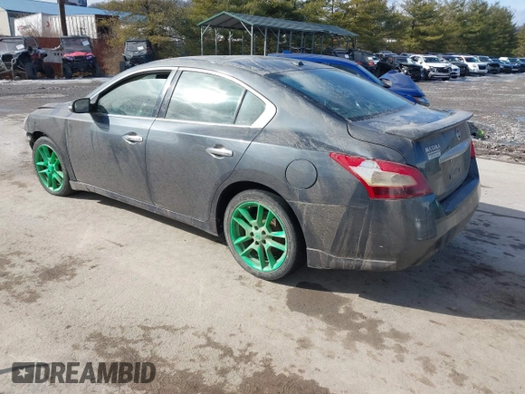 2011 Nissan Maxima SV with VIN 1N4AA5AP5BC809236, listed as a IAAI auction lot 41522891 with Not provided miles and . Bid and sale history available at DreamBid. Image 3.