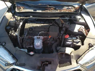 2019 Acura TLX with VIN 19UUB1F32KA010711, listed as a Copart auction lot 41838155 with 0 mi miles and Salvage Title. Bid and sale history available at carsss.com. Image 11.