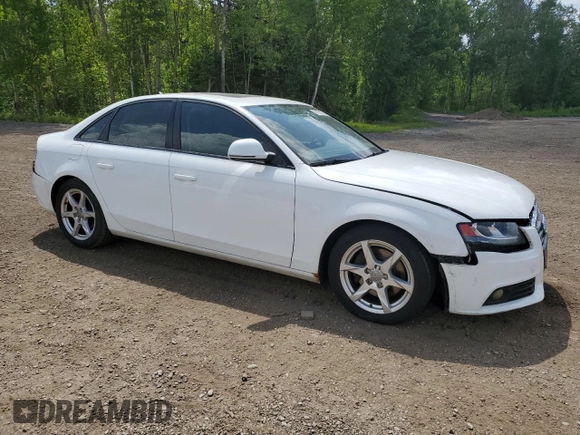 2009 Audi A4 with VIN WAULF68K59N025039, listed as a Copart auction lot 61571575 with Not provided miles and Salvage title. Bid and sale history available at DreamBid. Image 4.