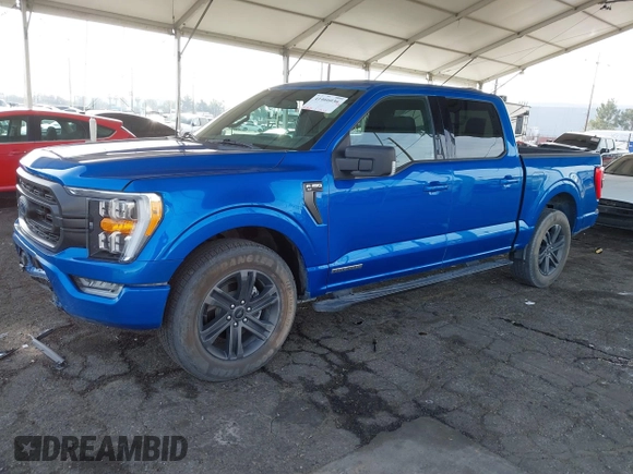 2021 Ford F-150 XL with VIN 1FTFW1CD0MFC50953, listed as a IAAI auction lot 41466036 with 33,983 mi miles and . Bid and sale history available at DreamBid. Image 2.
