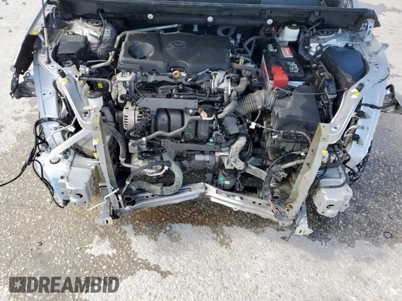 2019 Toyota RAV4 XLE with VIN 2T3W1RFV2KC015887, listed as a Copart auction lot 61869255 with 69,227 mi miles and Clean title. Bid and sale history available at DreamBid. Image 12.