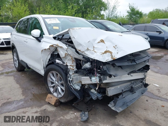2025 Honda CR-V EX-L with VIN 2HKRS4H78SH407208, listed as a IAAI auction lot 41023125 with 5,817 mi miles and . Bid and sale history available at DreamBid. Image 6.