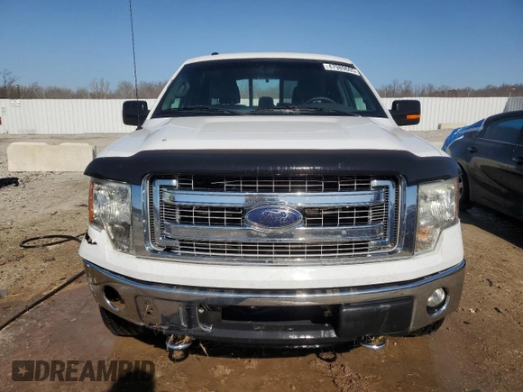 2013 Ford F-150 XL with VIN 1FTFW1EF0DFA71889, listed as a Copart auction lot 47989605 with 282,091 mi miles and Salvage Title. Bid and sale history available at carsss.com. Image 5.