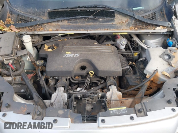 2007 Chevrolet Uplander LS Fleet with VIN 1GNDV23137D148172, listed as a IAAI auction lot 42173619 with 131,285 mi miles and . Bid and sale history available at DreamBid. Image 10.
