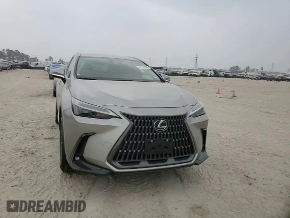 2022 Lexus NX with VIN 2T2ADCAZXNC001110, listed as a Copart auction lot 49154505 with 2,623 mi miles and Salvage Title. Bid and sale history available at carsss.com. Image 11.
