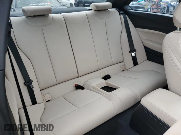 2017 BMW 2 Series 230i with VIN WBA2F9C52HV664153, listed as a Copart auction lot 51953875 with 71,904 mi miles and Salvage title. Bid and sale history available at DreamBid. Image 10.