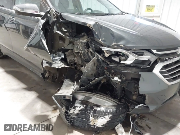 2019 Chevrolet Equinox Premier with VIN 2GNAXXEV2K6127055, listed as a IAAI auction lot 41598381 with 132,126 mi miles and . Bid and sale history available at DreamBid. Image 6.