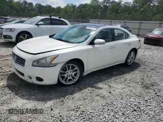 2011 Nissan Maxima SV with VIN 1N4AA5AP8BC859743, listed as a Copart auction lot 54925275 with 103,004 mi miles and Salvage title. Bid and sale history available at DreamBid. Image 1.