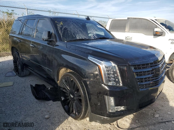 2018 Cadillac Escalade Platinum with VIN 1GYS3DKJ3JR318408, listed as a Copart auction lot 76171764 with 0 mi miles and Non Repairable. Bid and sale history available at carsss.com. Image 4.