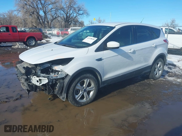 2013 Ford Escape SE with VIN 1FMCU9GX2DUD19077, listed as a IAAI auction lot 41578028 with 124,890 mi miles. Bid and sale history available at carsss.com. Image 2.