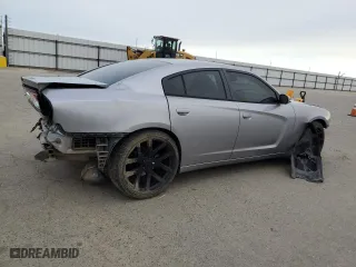 2014 Dodge Charger SE with VIN 2C3CDXBG1EH114505, listed as a Copart auction lot 45135075 with 160,943 mi miles and Salvage Title. Bid and sale history available at carsss.com. Image 3.