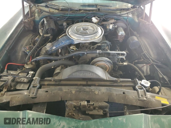 1977 Ford Thunderbird with VIN 7G87H168986, listed as a Copart auction lot 89014085 with 8,524 mi miles and Clean Title. Bid and sale history available at DreamBid. Image 11.