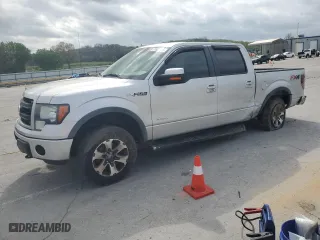 2014 Ford F-150 XL with VIN 1FTFW1ET5EFB42348, listed as a Copart auction lot 51623435 with 156,254 mi miles and Salvage Title. Bid and sale history available at carsss.com. Image 1.
