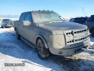 2014 Ford F-150 XL with VIN 1FTFW1ET2EFB20579, listed as a IAAI auction lot 41434191 with 159,874 mi miles. Bid and sale history available at carsss.com. Image 6.