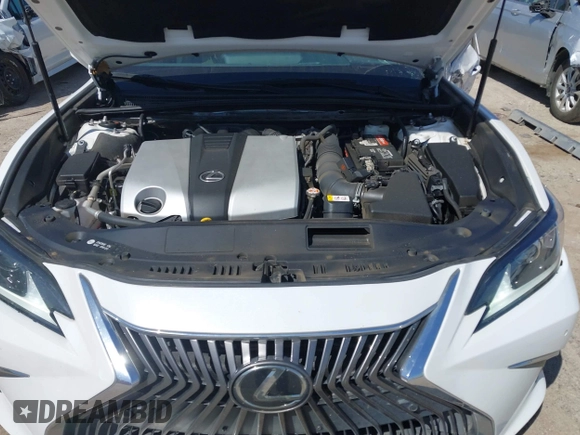 2019 Lexus ES 350 with VIN 58ABZ1B10KU004138, listed as a IAAI auction lot 41859979 with 52,971 mi miles and . Bid and sale history available at DreamBid. Image 10.