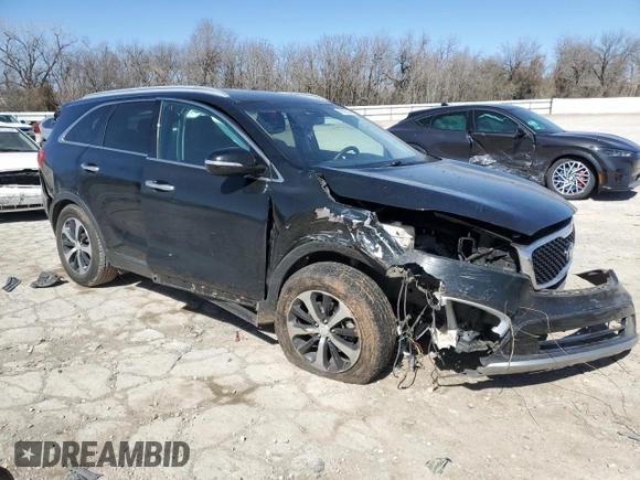 2016 Kia Sorento EX with VIN 5XYPH4A5XGG015778, listed as a Copart auction lot 48188045 with 179,479 mi miles and Salvage Title. Bid and sale history available at DreamBid. Image 4.