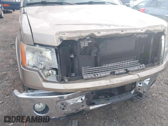 2011 Ford F-150 XL with VIN 1FTFW1EF1BFA05171, listed as a IAAI auction lot 41524808 with 216,946 mi miles. Bid and sale history available at carsss.com. Image 6.