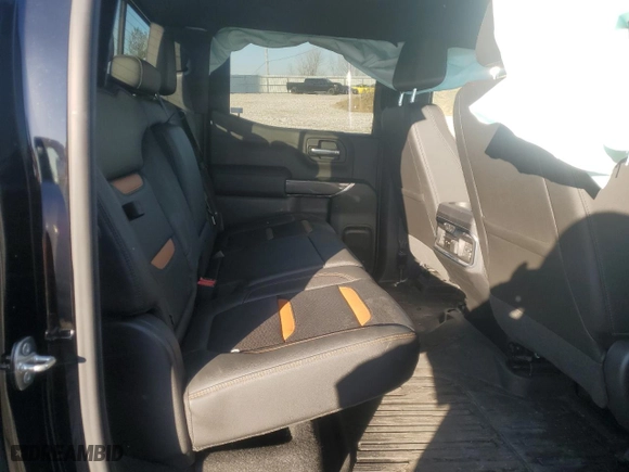 2019 GMC Sierra 1500 AT4 with VIN 1GTP9EED7KZ170688, listed as a Copart auction lot 48483405 with 115,250 mi miles and Clean Title. Bid and sale history available at carsss.com. Image 10.