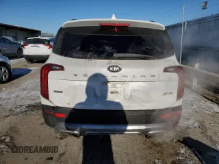 2020 Kia Telluride S with VIN 5XYP6DHCXLG076584, listed as a Copart auction lot 87949765 with 87,283 mi miles and Salvage Title. Bid and sale history available at DreamBid. Image 6.