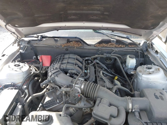 2012 Ford Mustang Premium with VIN 1ZVBP8AM5C5234532, listed as a IAAI auction lot 41860791 with 106,929 mi miles and . Bid and sale history available at DreamBid. Image 10.