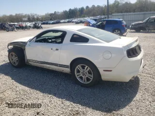 2013 Ford Mustang V6 with VIN 1ZVBP8AM2D5223442, listed as a Copart auction lot 50686485 with 113,422 mi miles and Salvage Title. Bid and sale history available at carsss.com. Image 2.