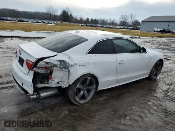 2008 Audi S5 with VIN WAURV78T38A032816, listed as a Copart auction lot 43603835 with 125,609 mi miles and Salvage Title. Bid and sale history available at carsss.com. Image 3.