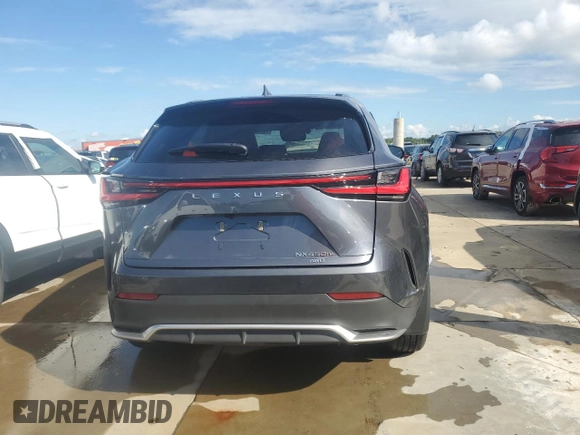 2023 Lexus NX with VIN JTJKKCFZ3P2017316, listed as a Copart auction lot 73752814 with 13,125 mi miles and Salvage Title. Bid and sale history available at carsss.com. Image 6.