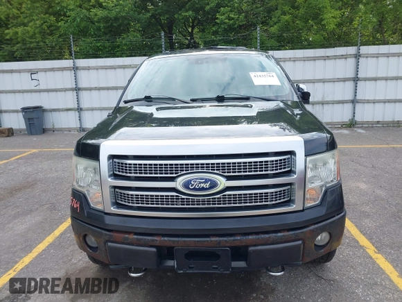 2010 Ford F-150 XL with VIN 1FTFW1EV6AFA16804, listed as a IAAI auction lot 42435764 with 243,181 mi miles and . Bid and sale history available at DreamBid. Image 12.
