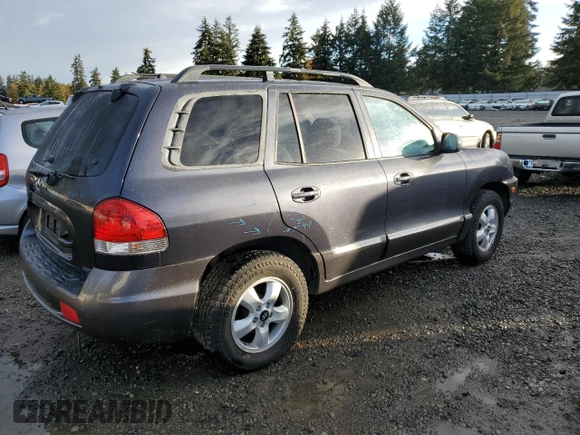 2005 Hyundai Santa Fe GLS with VIN KM8SC73D45U987706, listed as a Copart auction lot 77706174 with 160,646 mi miles and Salvage Title. Bid and sale history available at carsss.com. Image 3.
