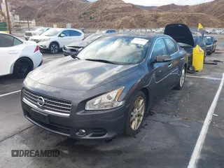 2010 Nissan Maxima 3.5 SV with VIN 1N4AA5APXAC844241, listed as a IAAI auction lot 41420922 with 64,935 mi miles. Bid and sale history available at carsss.com. Image 2.