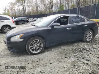 2011 Nissan Maxima 3.5 SV with VIN 1N4AA5APXBC802265, listed as a Copart auction lot 51761185 with 126,536 mi miles and Salvage Title. Bid and sale history available at carsss.com. Image 1.