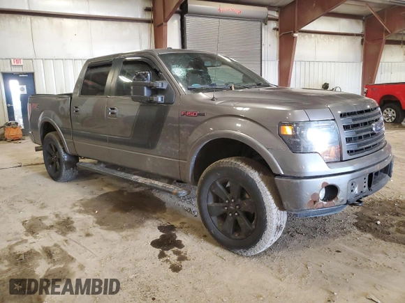 2014 Ford F-150 XL with VIN 1FTFW1ET3EFC87565, listed as a Copart auction lot 49617765 with 159,521 mi miles and Salvage Title. Bid and sale history available at carsss.com. Image 3.