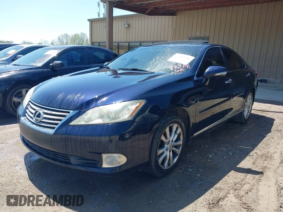 2010 Lexus ES 330 with VIN JTHBK1EG3A2395309, listed as a IAAI auction lot 41969741 with 146,918 mi miles and . Bid and sale history available at DreamBid. Image 17.
