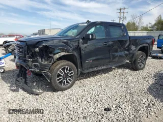 2022 GMC Sierra 1500 AT4 with VIN 3GTP9EELXNG175346, listed as a Copart auction lot 55558525 with 54,624 mi miles and Salvage title. Bid and sale history available at DreamBid. Image 1.