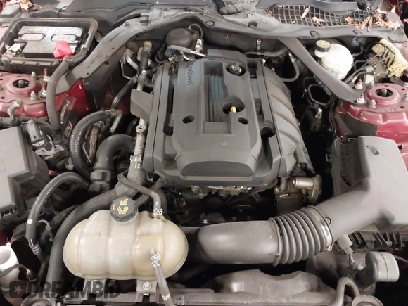 2019 Ford Mustang EcoBoost with VIN 1FATP8UH2K5205502, listed as a IAAI auction lot 41817355 with 42,789 mi miles and . Bid and sale history available at carsss.com. Image 10.