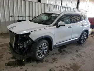 2019 Hyundai Santa Fe SEL with VIN 5NMS3CAD2KH115933, listed as a Copart auction lot 48519895 with 89,229 mi miles and Salvage Title. Bid and sale history available at carsss.com. Image 1.