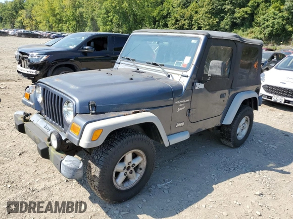 2001 Jeep Wrangler Sport with VIN 1J4FA49S41P352844, listed as a Copart auction lot 69216924 with 160,129 mi miles and Clean Title. Bid and sale history available at carsss.com. Image 1.