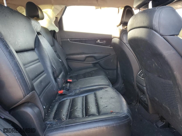 2016 Kia Sorento EX with VIN 5XYPH4A17GG022071, listed as a Copart auction lot 41670145 with 0 mi miles and Salvage Title. Bid and sale history available at carsss.com. Image 11.