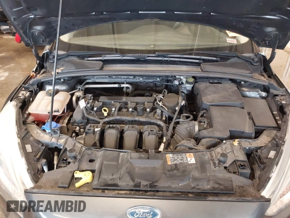 2016 Ford Focus SE with VIN 1FADP3F20GL234077, listed as a IAAI auction lot 41933546 with 106,184 mi miles and . Bid and sale history available at DreamBid. Image 10.