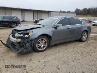 2010 Acura TL Tech with VIN 19UUA8F50AA020018, listed as a Copart auction lot 87395754 with 305,843 mi miles and Salvage Title. Bid and sale history available at carsss.com. Image 1.