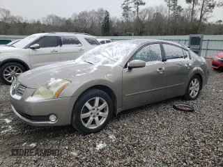 2005 Nissan Maxima 3.5 SL with VIN 1N4BA41E05C839052, listed as a Copart auction lot 89384055 with 234,691 mi miles and Salvage Title. Bid and sale history available at carsss.com. Image 1.